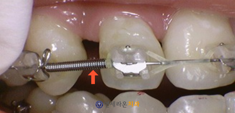 청주터미널치과