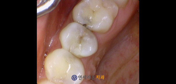청주치과