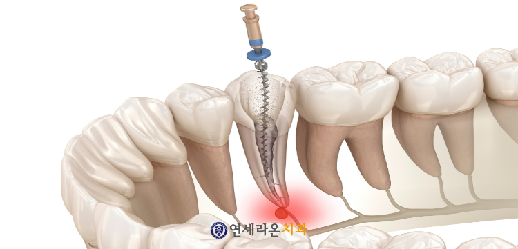 청주치과