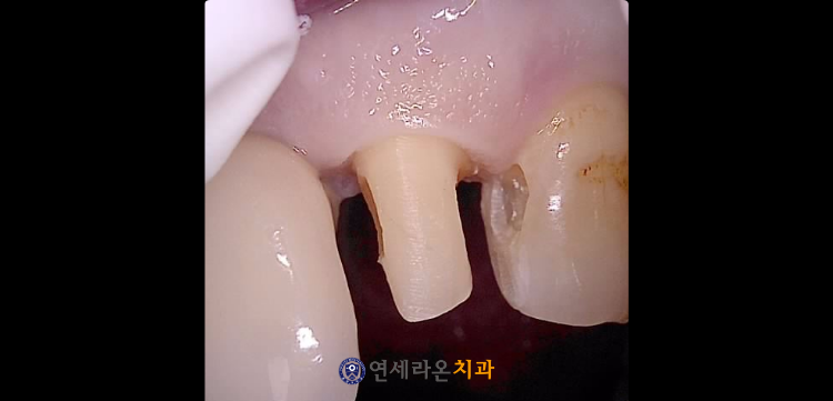 청주치과