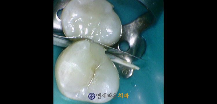 청주치과