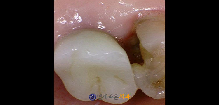 청주치과