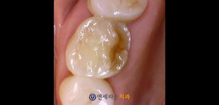 청주치과