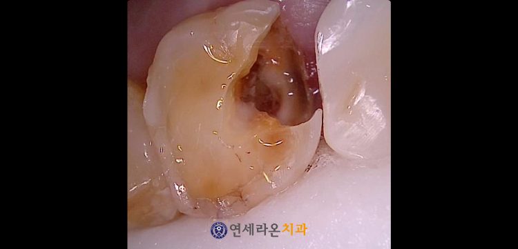 청주치과