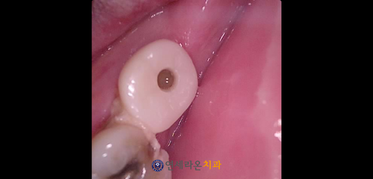 청주치과
