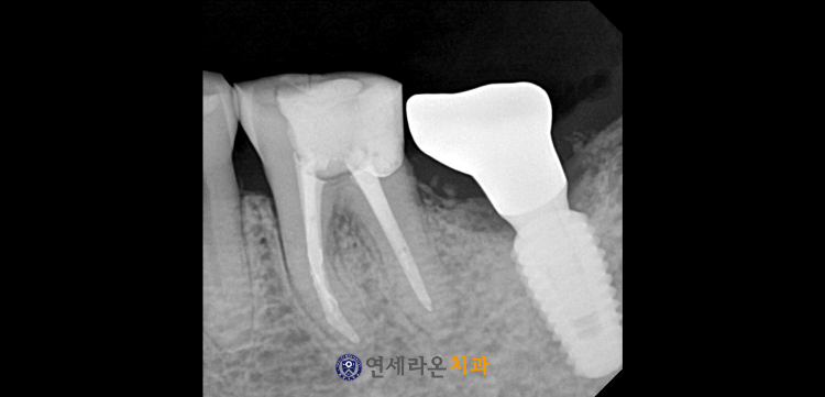 청주치과